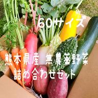 熊本産農薬不使用野菜詰め合わせ120サイズ+農薬不使用玄米 熊本県産 無農薬野菜セット ｜ 野菜/野菜セット・詰め合わせ 産直