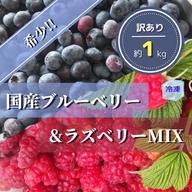 500g】大粒ブルーベリー&ラズベリーMIX ｜ 果物/ベリー類 産直アウル