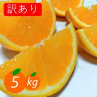 家庭用】せとか 5kg トロ～リ食感 柑橘の大トロ 高級柑橘 愛媛みかん
