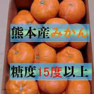 三ヶ日青島みかん｜平均糖度15度以上｜小粒2S-S｜産地直送8kg 三ヶ日青島みかん（優品）M 8kg JAみっかび: しずおか『手しお屋