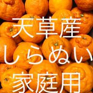 ポンカン 家庭用 箱込2kg | 果物/オレンジ・その他みかん 産直アウル
