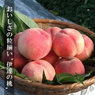 朝採り発送 ふくしまの桃 【贈答用 伊達の旬の桃 5kg】 翌々日配送地域
