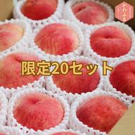 贈答用】希少品種「川中島白鳳」3㎏（8～11玉）長野市川中島町からお