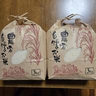 めっちゃうまい❗淡路島産森のくまさん古米玄米30kg ｜ 米・穀物/玄米