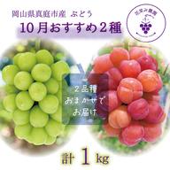 4M-2家 花笑み農園 岡山『ぶどう4種MIX』（シャイン＋厳選3種）約2kg