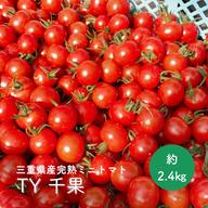 酸味と甘みのバランスが抜群！！三重県産 真っ赤な完熟大玉トマト『富