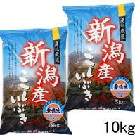 令和7年産 新潟県産 つきあかり 玄米 10キロ プレゼント付き (送料込み