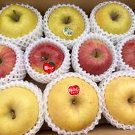 こんな硬いりんご見たことない！！「春明21」約3kg箱10〜14玉 | 果物