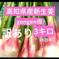 高知県産 朝採り新生姜 訳あり1キロ ｜ 野菜/薬味 産直アウル 農家