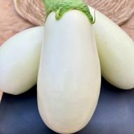 白ナス B品『とろ〜り旨なす』 ｜ 野菜/茄子 産直アウル 農家・漁師