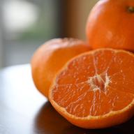 三ヶ日を代表する品種！『三ヶ日青島みかん』ご家庭用10kg | 果物/温州