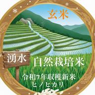 120年以上続く棚田の湧水自然栽培米（ミネラル豊富） ｜ 米・穀物/玄米