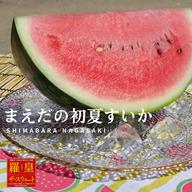 金色羅皇 まえだの大玉すいか ｜ 果物/スイカ 産直アウル 農家・漁師