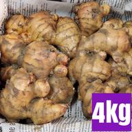 オーロ　熊本生姜 土付き囲い生姜 15kg 熊本生姜 土付き囲い生姜 1 kg - メルカリ