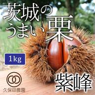 利平栗5kg（栃木S様専用） | 果物/栗 産直アウル 農家から直接野菜など