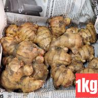専用　新生姜5キロ 高知県産 土付き新生姜5キロ ｜ 野菜/薬味 産直アウル 農家・漁師など