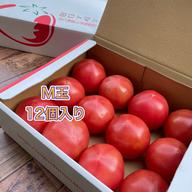 赤熟もぎり！水耕栽培の王様トマトL玉9個（2キロ箱） ｜ 野菜/トマト