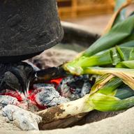 4周年限定：割引中！】下仁田ネギ4kg《訳アリ品》 | 野菜/ねぎ 産直