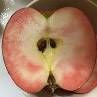 青森県幻の林檎！高徳 | 果物/りんご 産直アウル 農家から直接野菜など