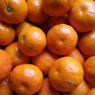 小玉 有田みかん 3S〜2Sｻｲｽﾞ(キズあり)箱込み3kg ｜ 果物/温州みかん