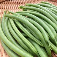 フレッシュ ローズマリー 栽培期間農薬不使用 送料込み!! ハーブ