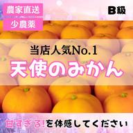 甘い!小さいサイズ! B級小玉の天使のみかん 有田みかん4kg 最高級