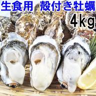 生食用 殻付き 牡蠣 4kg（28~70粒）4キロ 牡蠣 殻付き 牡蛎 宮城県