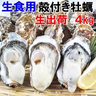 ❄️急速冷凍 8kg 訳ありワタリガニ🦀オス・メス混合🌊ガザミ がざみ