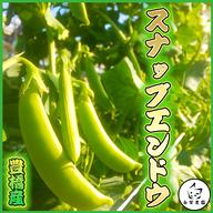 訳あり】泥付き長ネギ 約4kg 約10〜20本 ｜ 野菜/ねぎ 産直アウル