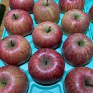 2️⃣ 赤いシャイン 富士の輝き ５００ｇ‪✕‬１０パック 箱込み5.9キロ ブラックシャイン ルビーシャイン 富士の輝 シャインセット