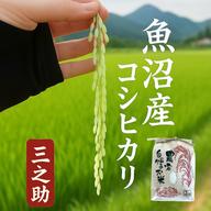 コシヒカリ 魚沼米100% 15kg 玄米 R7産 玄米 魚沼産コシヒカリ 15kg 令和7年産 ｜ 米・穀物/玄米 産直アウル