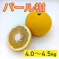 ビッグで上品な甘み『パール柑』8.3～9.3kg ｜ 果物/オレンジ・その他