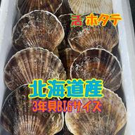 北海道噴火湾マサキ水産のホタテと牡蠣 | 魚介類/魚介セット