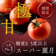 糖度8.5度以上！極甘スーパー麗月1kg ｜ 野菜/トマト 産直アウル