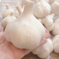 訳あり・土付き芽あり】青森にんにく白玉王（中小玉）1kg ｜ 野菜