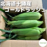 北海道十勝産】ユキホマレ 大豆 800g 令和6年度産 ｜ 野菜/豆類 産直