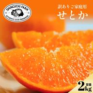 訳あり】媛果プリンセス 3kg【紅プリンセスと同品種】 ｜ 果物