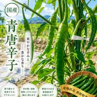 キヌヒカリ玄米10kg橙心🌾令和6年度産新米🌾淡路島からの新米