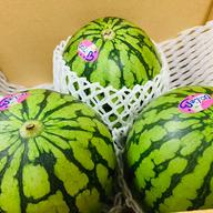 熊本県産 高級 すいか 西瓜 大玉 羅皇 赤 2玉入り 2L サイズ 1玉あたり