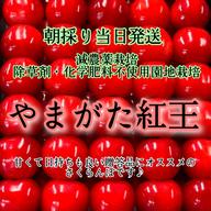 無農薬栽培 セラミドたっぷり☆朝採り当日発送‼ 若桃 ｜ 果物/もも