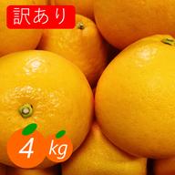 秀品】せとか 4.5kg トロ～リ食感 柑橘の大トロ 高級柑橘 愛媛みかん
