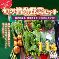 農園自慢の情熱野菜セット☆訳あり☆発送タイミングおまかせ