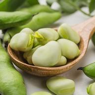 無農薬えごまの葉エゴマの葉1000枚 ｜ 野菜/葉物 産直アウル 農家