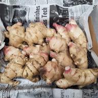 高知県産 土付き新生姜5キロ | 野菜/薬味 産直アウル 農家から直接野菜