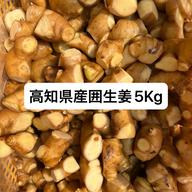 高知県産親生姜20Kg(カット済み) ｜ 野菜/薬味 産直アウル 農家・漁師