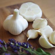 にんにくの概念が変わる！「生にんにく」お試し5玉【数量限定