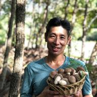 期間限定】原木なめこ 800g 〜森から育てた香る木の子〜 | 野菜/きのこ