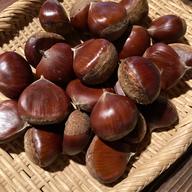 京都産 花山椒 100g ｜ その他/食用花 産直アウル 農家・漁師など生産