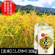 きぬひかり【玄米】 10kg 令和7年産 京都府京丹波町産 ｜ 米・穀物