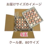 平飼い名古屋コーチン【王様のたまご】12個（6個入り×2p） | 卵/鶏卵